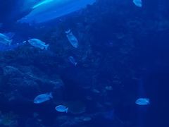 -上海长风大悦城