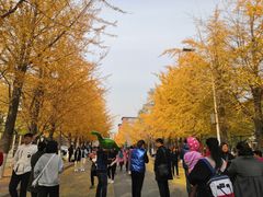 -辽宁大学(崇山校区)