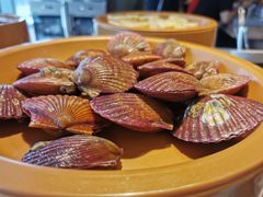 鲜带壳扇贝-龍歌自助小火锅(市南金茂湾店)