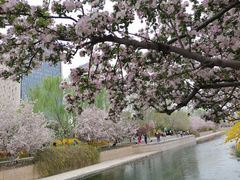 -元大都城垣遗址公园