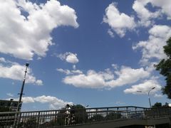-黑土印象菜馆(三元桥店)