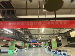 -枫蓝国际购物中心-地面停车场