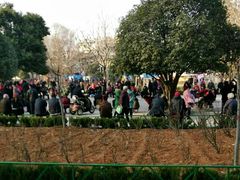 -洛阳市牡丹公园