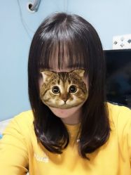点击看大图 -镁连社·美联社