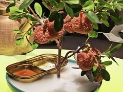 -长安大牌档之龙头酒肆(荣民龙首广场店)