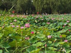 -太阳宫公园