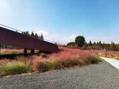 -下渚湖国家湿地公园科普馆