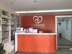 -创凡宠物医院·骨专科  猫科中心(西乡分院)