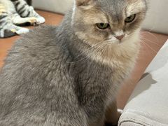 -MOCHA明星猫咖(田子坊店)