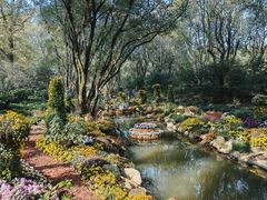 -上海共青森林公园