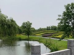 -梁鸿国家湿地公园