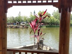-李小龙乐园(顺德均安店)