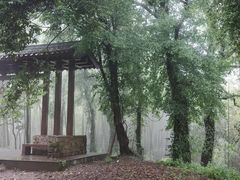 -西湖风景区十里琅珰-五云山