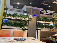 -四季合味椰子鸡(南山大冲店)
