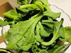 非洲冰草-一叶一世界•素食餐厅(新光天地店)