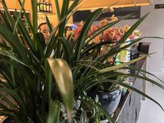 -生态苑农庄(十里画廊遇龙河店)
