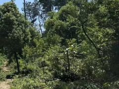 -青龙山国家森林公园
