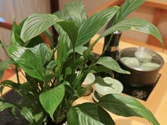 -半山•草庐玖厨(机场路店)