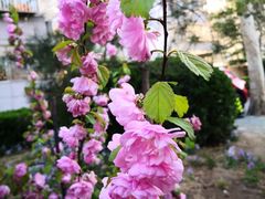 -庆丰包子铺(大红罗厂店)