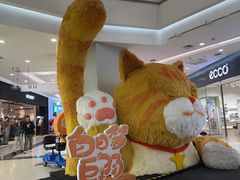 -凯德广场(学府店)