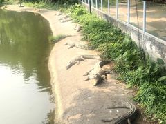 -广州长隆飞鸟乐园