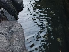 -黄金海岸水上乐园