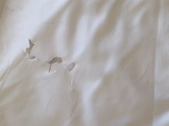 -铂逸梦秦酒店(横店梦幻谷店)