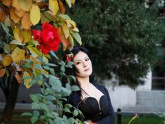 -中央民族大学