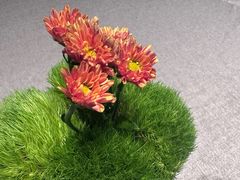 -南堂馆·新川菜(春熙路店)