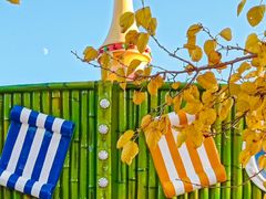 -羊亭河湿地公园