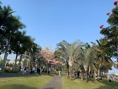 -深圳湾公园(南山区)