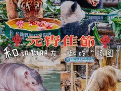 -广州长隆野生动物世界