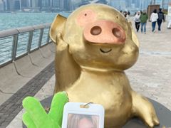 -星光大道