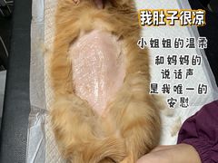 -宠爱国际动物医院·消化内科·心肾内科·ISFM猫友好(望京店)