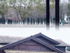 -南湖湿地公园