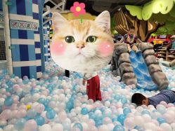 -MELAND(大融城店)