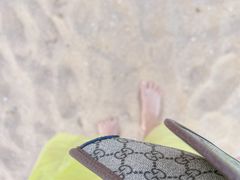 -碧海金沙