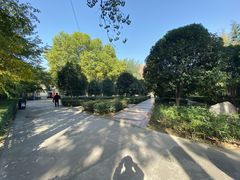 -西安市长乐公园