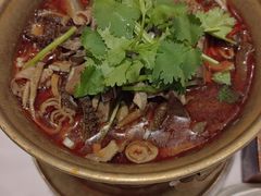 -凯鸽酒楼(操场城店)