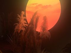 -ohbar live house(人广店)