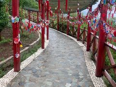 -野三坡刘家河高山漂流