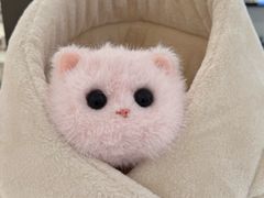 -鹰巢数码·EAGLE’S NEST(SKP店)