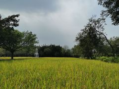 -广东花都香草世界旅游度假区