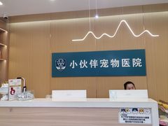-小伙伴宠物医院•急重症转诊中心·老年专科·犬猫全科(北大街总院)