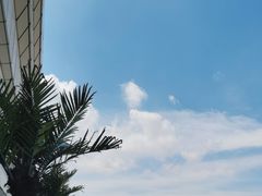 -宁波海天一洲景区