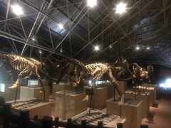 -世界恐龙谷景区