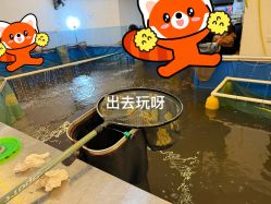-巡鱼道·室内垂钓·渔具店