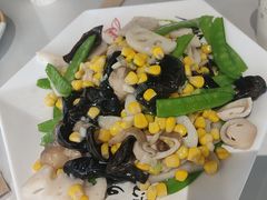 -何适山庄 ·可团建(水长城P2停车场店)