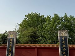 -曹州牡丹园