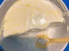 -德禄酸奶(莫家街店)